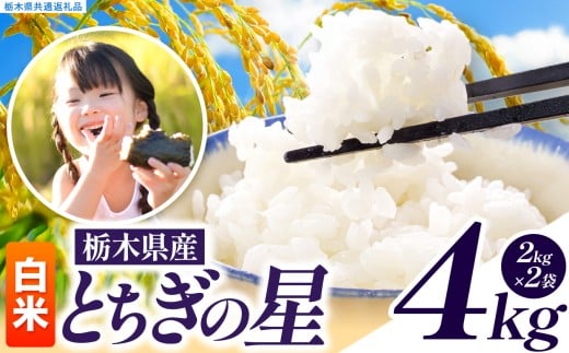 いちご農家さん応援米！ 訳あり 令和7年度産 白米 約4kg とちぎの星 | 真岡市産 米 お米 こめ 白米 ご飯 ごはん 大粒 とちぎのほし 限定 ふるさと納税  栃木県 真岡市 送料無料