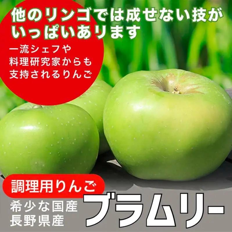 【訳あり】 クッキングアップル ブラムリー 約5kg 12～18玉 ［小布施屋］ 傷 キズ 不揃い 規格外 家庭用 令和8年産  【2026年8月下旬～10月発送】  ［A-47］