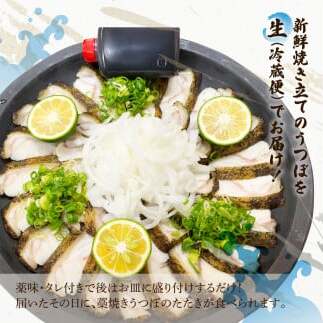 土佐の魚とお酒のおきゃくセット B（ウツボタタキコース）藁焼きウツボタタキ（タレ・薬味付）約200g 2～3人前 わら焼き うつぼ 珍味 純米吟醸生原酒 CEL-24 高知県 土佐市【さかなの森澤マル