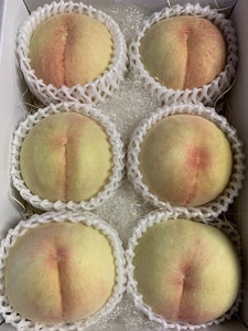 光田さん 自慢の桃 白鳳 2kg(5～6玉) _S53