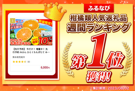 訳あり みかん ひとくちもぎたてみかん 約10kg (10kg×1箱)  S-3Sサイズ みかん 訳ありみかん ご家庭用みかん 熊本県産みかん （荒尾市産含む）  期間限定 フルーツみかん 秋 旬 柑