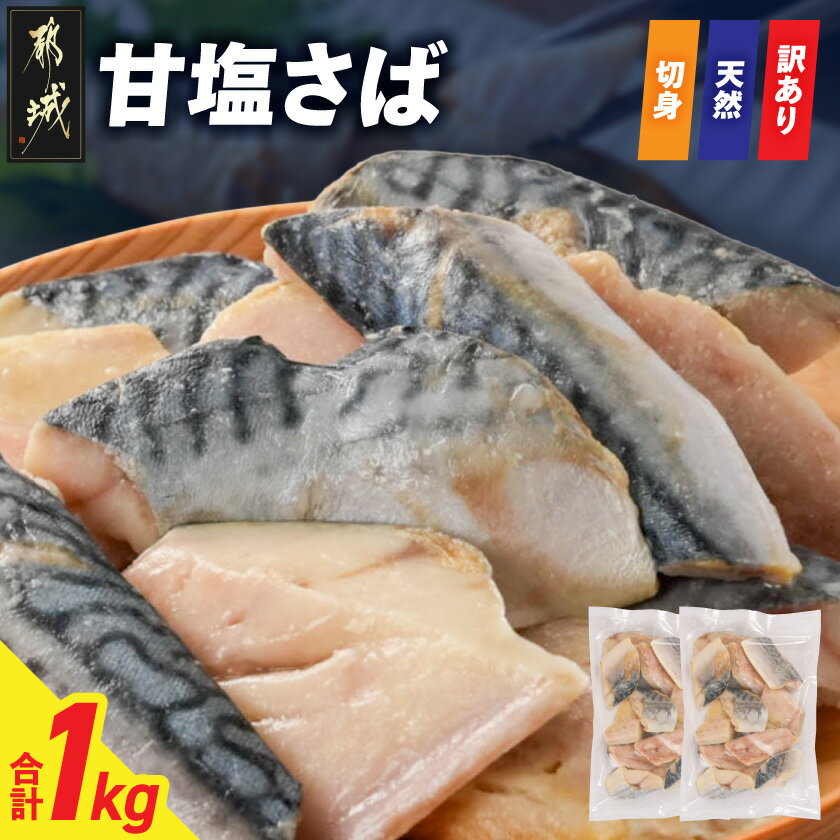 【ふるさと納税】【訳あり】甘塩さば切身1kg - 訳あり 家庭用 鯖 切身加工 お弁当 焼き魚 ムニエル 唐揚げ 一口サイズ 絶品おかず 手軽 味付き 送料無料 AA-N7-002【宮崎県都城市は2年連続ふるさと納税日本一！】