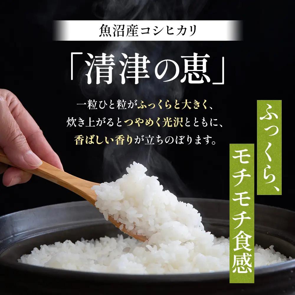 【令和8年産 先行予約】魚沼産特別栽培米コシヒカリ［清津の恵］精米10kg（5kgx2袋）