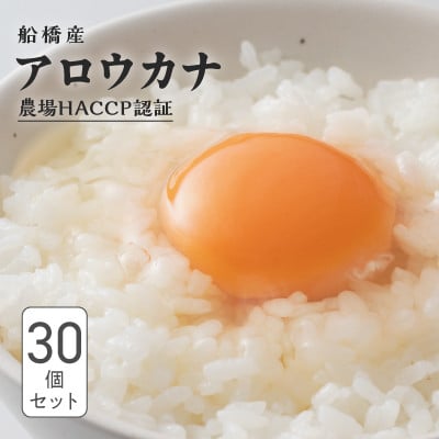 
                  船橋産 地玉子「アロウカナ」 30個セット 6個×5パック 卵
                