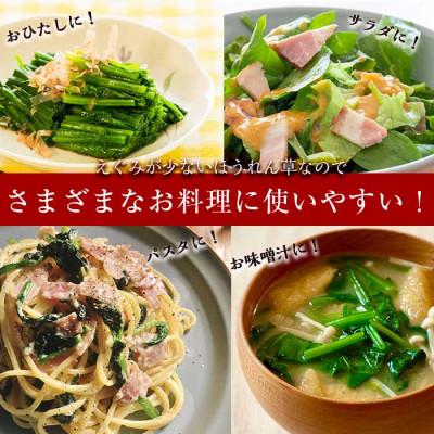 ふるさと納税 志布志市 <先行予約受付中!R7年12月頃配送予定>【数量限定】志布志湾ほうれん草計1kg(200g×5袋) |  | 03