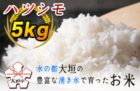【先行予約！】令和7年度産 ハツシモ 5kg 新米 水の都大垣の新米