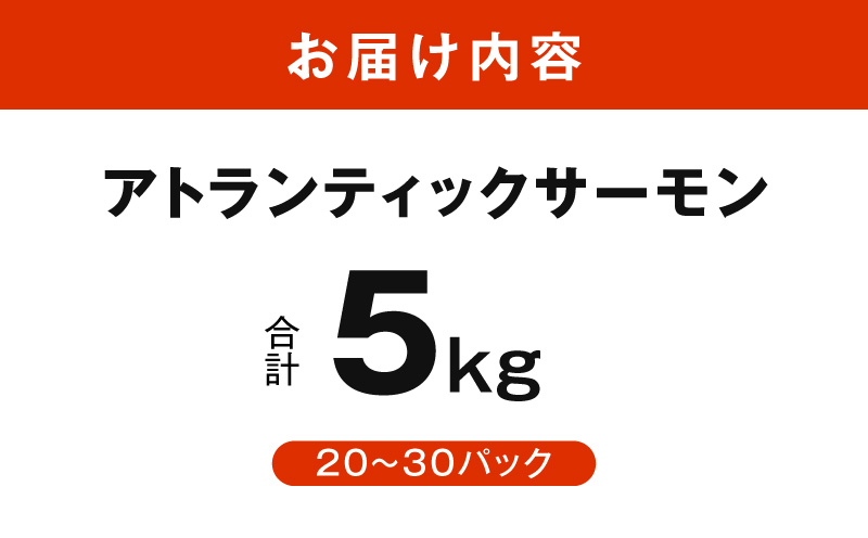 アトランティックサーモン 5kg【小分け ポーション 柵切り 刺身 魚介 海鮮 さーもん 生食 訳あり サイズ不揃い】 G3803