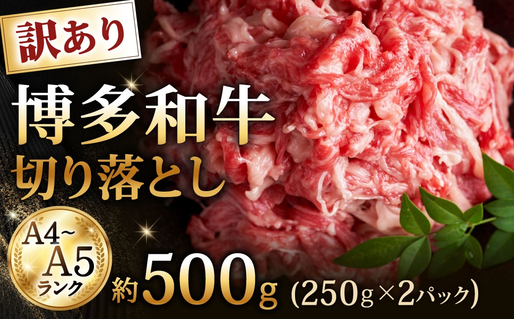 
                  【 訳あり 】 【 A4～A5ランク 】 博多和牛 切り落とし 約500g （ 250g × 2 ） お肉 肉 ニク にく 牛肉 牛 和牛 赤身 肩肉 バラ肉 脂 小分け 包装 国産 福岡県産 冷凍
                