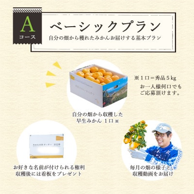 自分の畑が持てる!みかんオーナー制度:Aベーシックプラン【H25−111】ミヤモトオレンジガーデン【1411125】