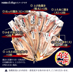 No.406-B 大きめ干物詰合せ＜合計3.6kg＞ 干物 セット 詰め合わせ ひもの 魚介類 魚 おかず おつまみ お楽しみ 【みのだ食品】