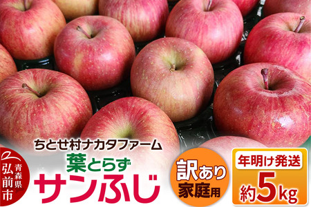 【26年1月～発送】りんご 葉とらずサンふじ 約5kg 家庭用 訳あり ちとせ村