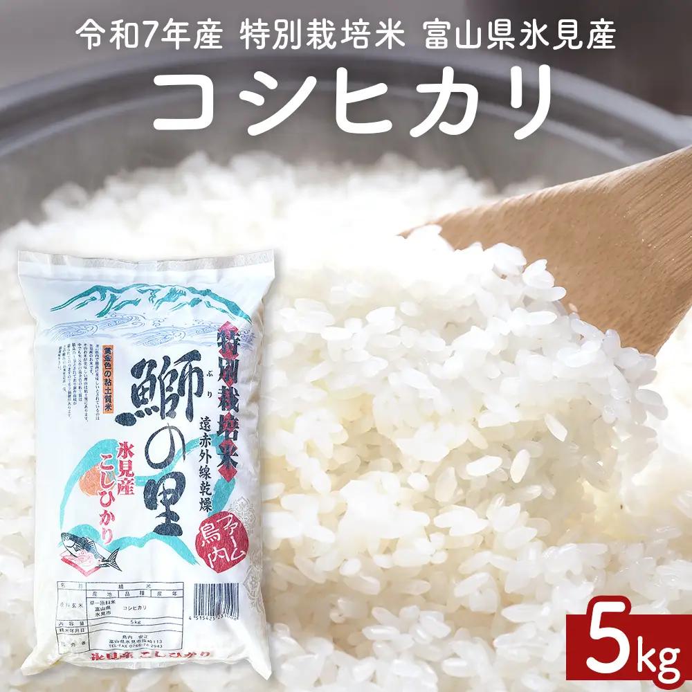 〈令和7年産 特別栽培米〉 富山県産コシヒカリ 5kg 鰤の里 白米
