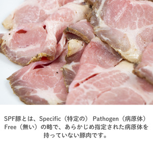 SPF豚のローストポーク(タレ付き) 750g(150g×5パック) / 豚 豚肉 SPF豚 SPFポーク ローストポーク