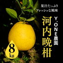 【ふるさと納税】【先行受付】【数量限定】【家庭用】河内晩柑（生果）8kg ｜ 柑橘 みかん ミカン 蜜柑 果物 和製グレープフルーツ 愛媛県産　※2025年5月中旬頃より順次発送予定