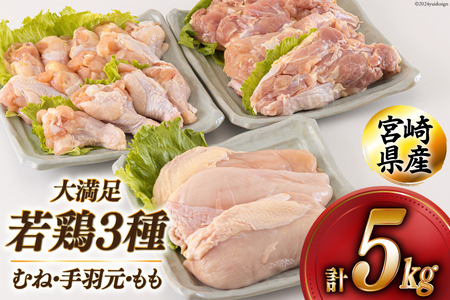 若鶏 むね 手羽元 もも 合計5kg 1kg包装 [アグリ産業匠泰 宮崎県 美郷町 31be0045]