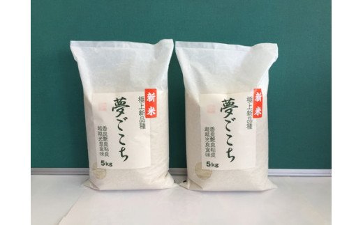 【新米】【7年産】近江米夢ごこち【5kg×2袋】【T035W1】