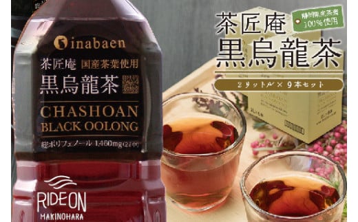 静岡県産 黒烏龍茶 2L × 9本 ペットボトル 黒ウーロン茶 国産 ポリフェノール配合 いなば園 ウーロン茶 牧之原市 お茶