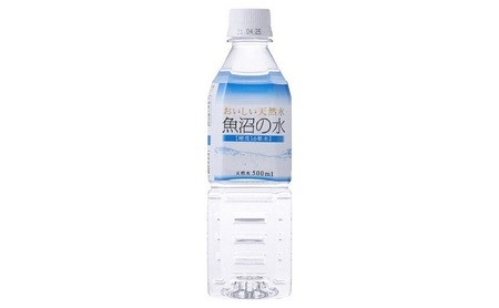 【定期便／全6回】魚沼の水　500ml×24本6か月毎月1ケースお届け