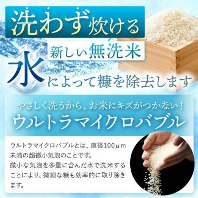 ふるさと納税 玉名市 【熊本県産】 森のくまさん 無洗米 10kg |  | 01