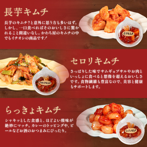 【 本場の味を再現 】 定番 キムチ 6種 詰め合わせセット 辛口 キムチ