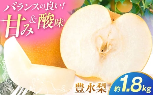 【先行予約】豊水梨　約1.8kg 梨 ナシ フルーツ 果物 【日本フルーツ株式会社】 [ZFJ059]