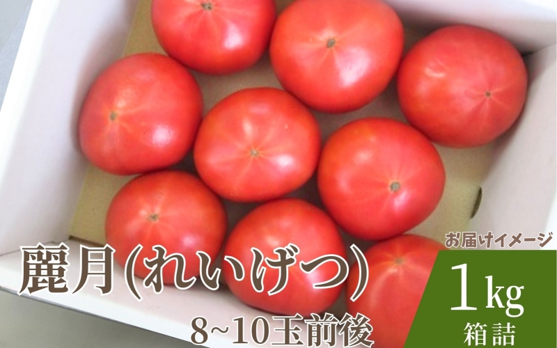 デリシャスファームのトマト(麗月)1キロ箱 / とまと 野菜 トマト