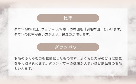 羽毛布団【ダブル】ポーランド産ホワイトマザーグース95％1.7kg2層キルトDP440 【S-36】