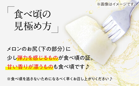 訳あり メロン イエローキング 1箱 5kg以内 / メロン めろん フルーツ 果物 / 南島原市 / 南島原果物屋[SCV042]