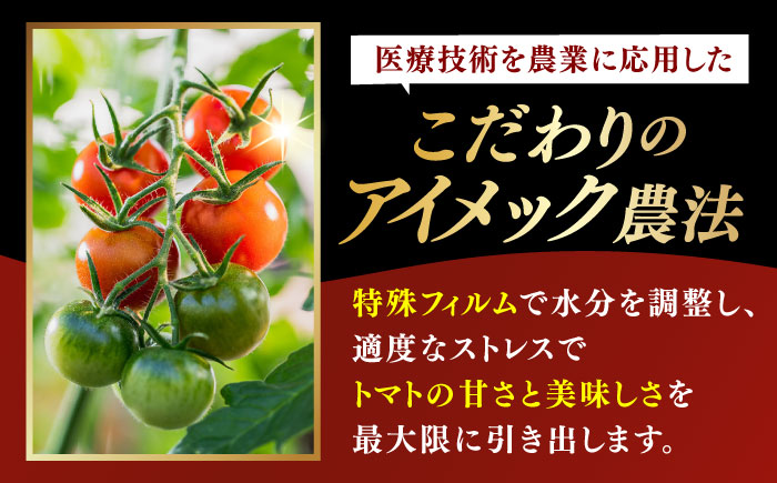 V トマト 糖度8度以上 800g【株式会社ブイ・テクノロジー】 [AKBL004]