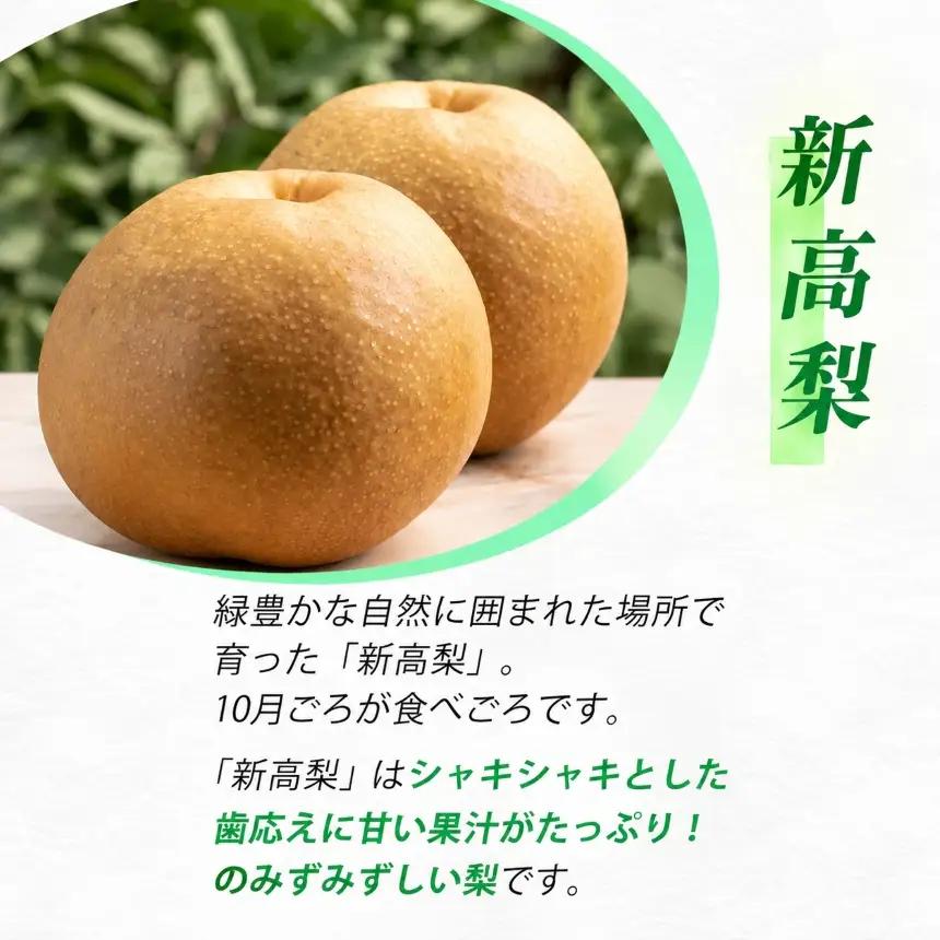 芳醇な香りと上品な甘さ 新高梨 約5kg 