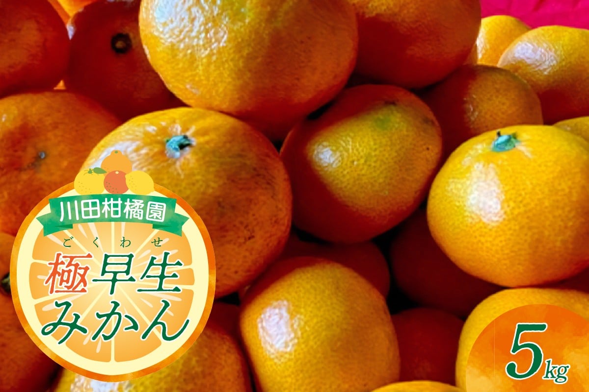 
            【2025年9月下旬～発送】川田柑橘園 呉市大長産 「極早生みかん」5kg ku055-004-25
          