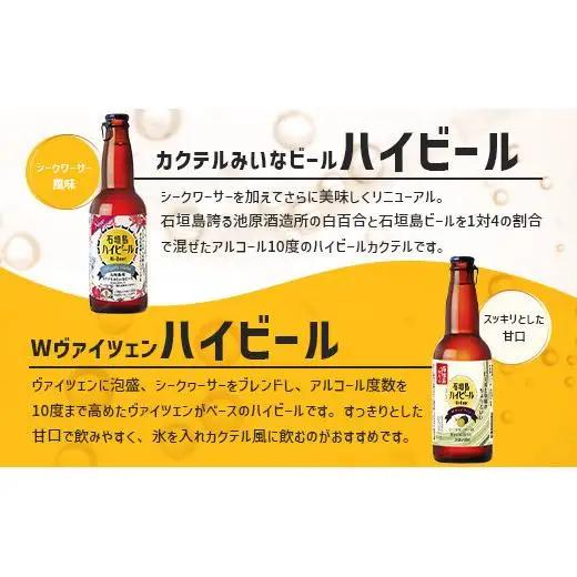 石垣島ビール詰め合わせ おまかせ24本セット  V-20