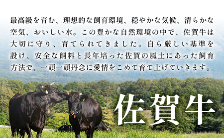 艶さし！【A4～A5】佐賀牛焼肉用　500g 【36mp-001】