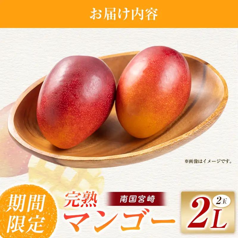 【令和9年発送 先行予約】完熟マンゴー 2L×2玉 マンゴー 