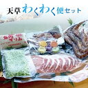 【ふるさと納税】高評価 天草 わくわく便 セット 詰め合わせ クルマエビ 白身魚 すり身 旬 魚 切り身 ロザリオポーク しゃぶしゃぶ オクラ とろろ 郷土銘品 せんだご 真空パック 郷土料理 豚肉 シーフード 海産物 魚介 海鮮 冷凍 お取り寄せグルメ 熊本県 天草市 送料無料