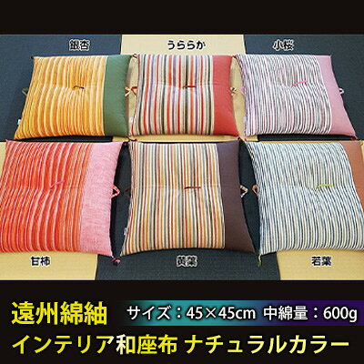 【ふるさと納税】遠州綿紬 インテリア和座布 ナチュラルカラー 織物 イス