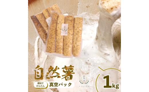 【 2026年度予約受付 】1kg 自然薯 真空パック 使い切り パック 便利 じねんじょ 山芋 ヤマイモ 山いも とろろ とろろ汁 とろろご飯 ご飯のお供 美味しい おいしい 自宅用 家庭用 贈答用 贈り物 ギフト プレゼント おすすめ 産地直送 農家直送 産直 直送 静岡県産 牧之原産 お土産 とろろごはん やまいも 野菜 芋 イモ 和食 ご飯 ランキング やまあい農園 静岡県 牧之原市