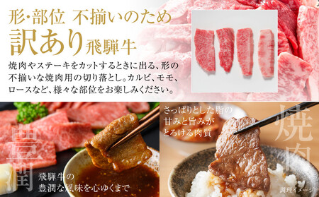 訳あり 飛騨牛 焼肉 切り落とし 1kg(500g×2パック)  | 切り落とし MZ036