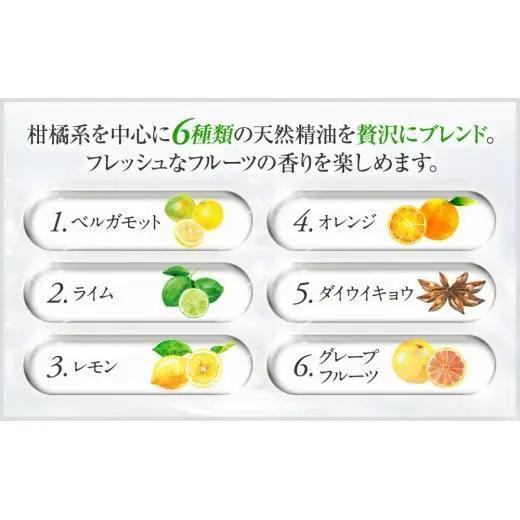 L10-013 ブリッサフルータル ノンシリコンシャンプー（500mL×1本、詰替え500mL×7本）