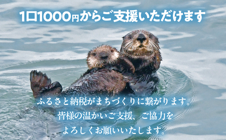 ラッコを見守る岬「きりたっぷ岬」周辺の環境整備　1000円分 返礼品なし_H0028-007
