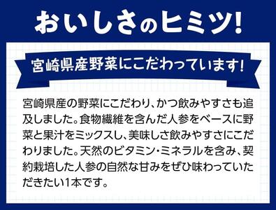 ※数量限定※【訳あり】サンAOh！宮崎野菜ミックス紙パック125ml×48本 【 野菜飲料 野菜ジュース ミックスジュース 飲料類 果汁飲料 】