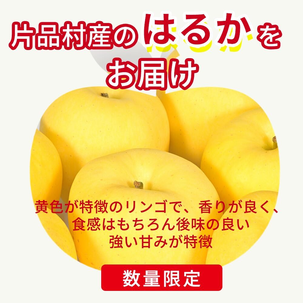 黄色と赤が混じった色が特徴的です。