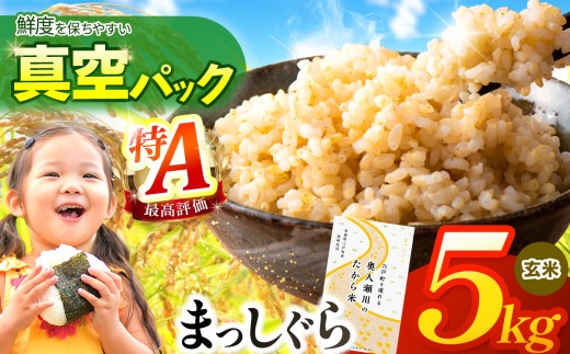 鮮度を保ちやすい 真空パック ！まっしぐら 玄米5kg | 米 おこめ お米 こめ コメ ごはん ご飯 玄米 ゴハン げんまい 特産 ブランド米 ライス 2025年産 令和7年度産 仕送り 国産 産地直送 定期 あっさり さっぱり 青森の旨い米グランプリ 最優秀賞 獲得 水稲 宝精米所 青森県 六戸町