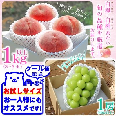 ふるさと納税 山梨市 【発送月固定定期便】2026年発送 山梨フルーツ旬の果物 桃+シャインマスカット 全2回 |  | 01