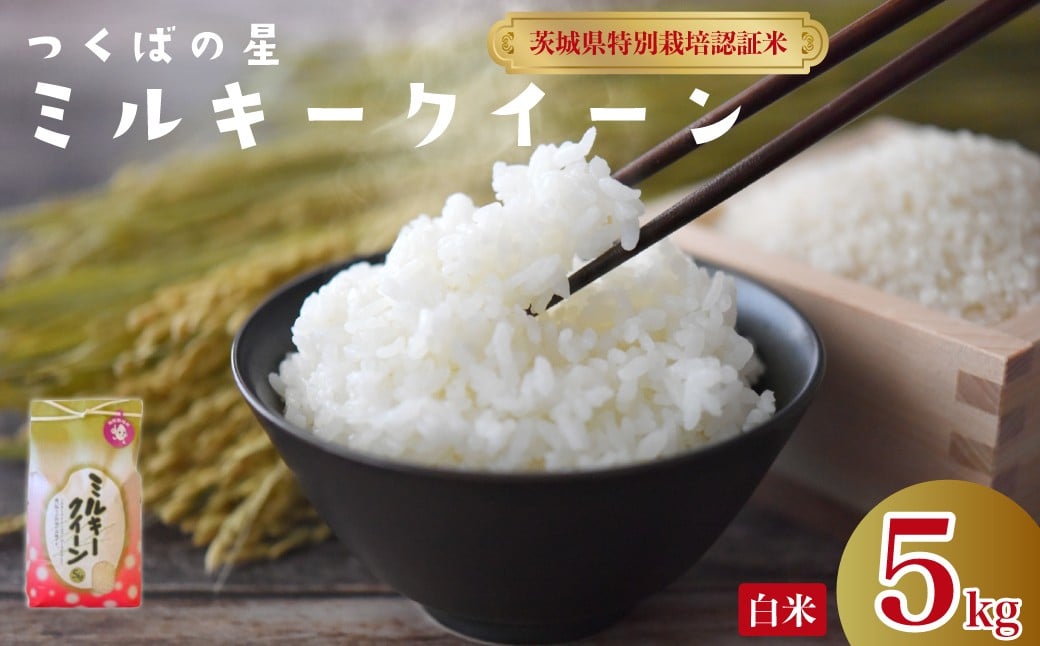 
                  白米 5kg ミルキークイーン 低アミロース つくばの星 | 特別栽培認証米 ミルキークイーン 特長のある米 GAP認証 森 ミネラル 水 山田川 安全 安心 美味しい 米 人気 低アミロース 茨城県 常陸太田市
                