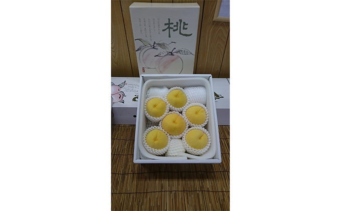 桃 瀬戸の天使 しずる桃 5～9玉 3kg 旬の桃 もも モモ ピーチ 