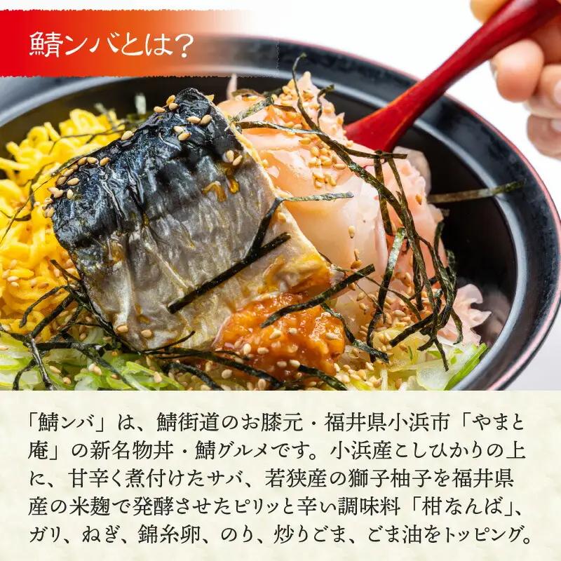 【惣菜・べんとうグランプリ2025優秀賞受賞！】おうちで鯖ンバ　2食入り  冷凍丼 簡単調理 さば [BFBP003] 【配送不可地域：北海道・沖縄・離島】 