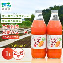 【ふるさと納税】にんじんジュース りんごミックス 1L 2本/6本 オーガニックファーム所沢農人 | ジュース 人参 人参ジュース 野菜ジュース リンゴ フルーツ ミックスジュース 果肉 トロトロ 濃厚 おいしい おすすめ プレゼント ギフト お取り寄せ 埼玉県 所沢市