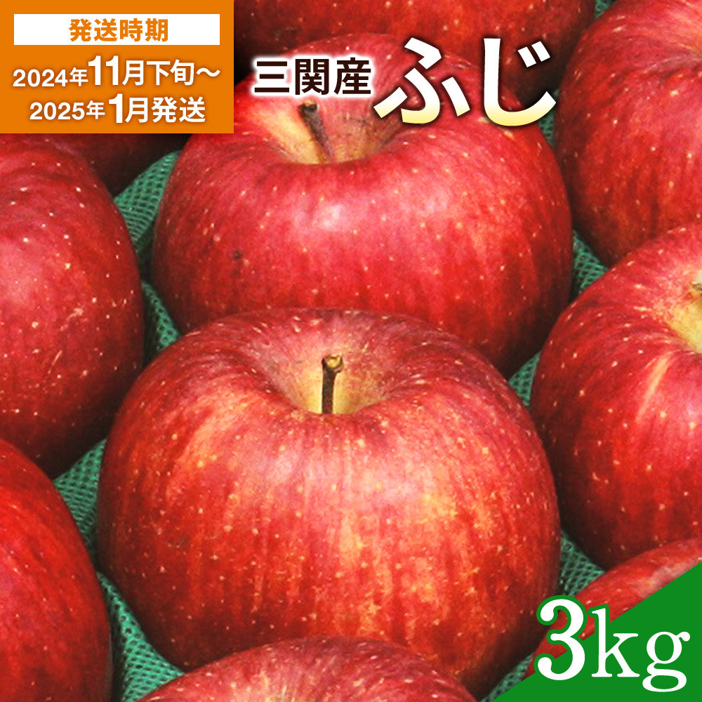 
三関産りんご（ふじ）　３kg[K3-2601]
