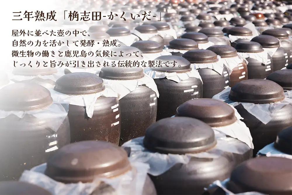 B2-0865／SUJJA ブルーベリー黒酢 2本セット